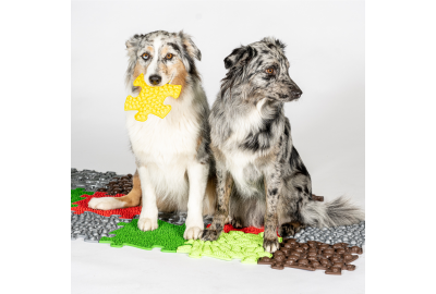 MUFFIK: Estimulación para Nuestro Mejor Amigo