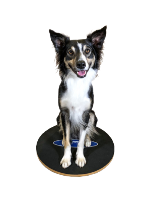 Tabla Wobble FitPAWS®-Chica