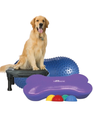 Gimnasio canino plus