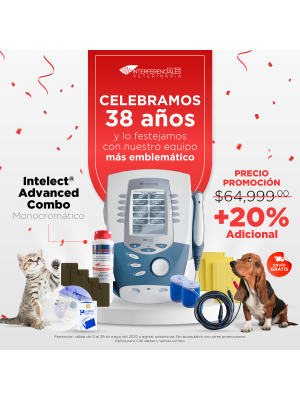 Intelect® Advanced Combo