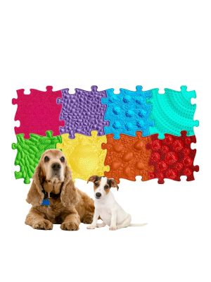 Rainbow - Set de Tapetes Ortopédicos Sensoriales Muffik